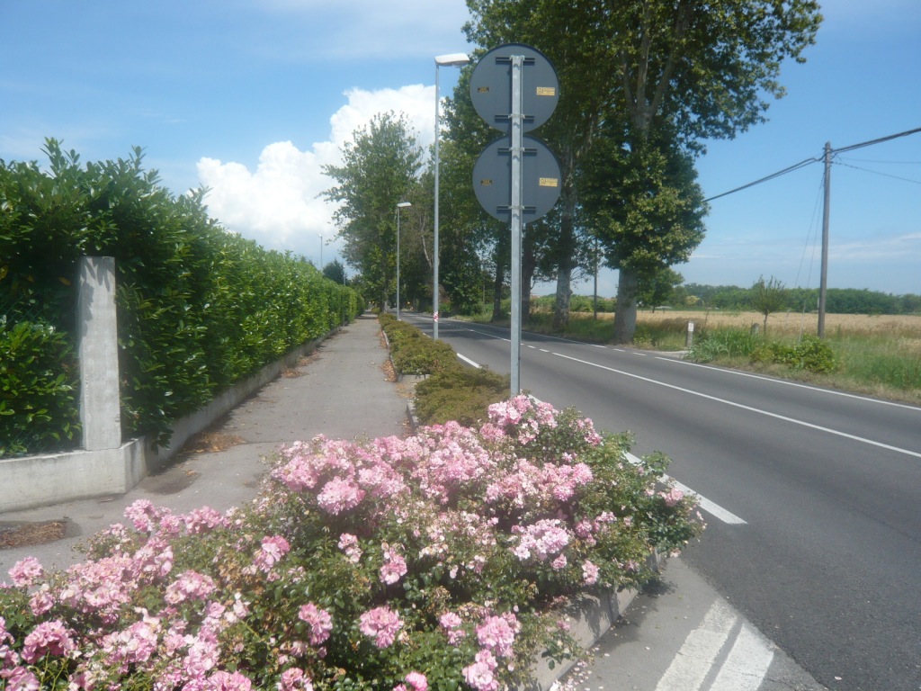 bici1.JPG